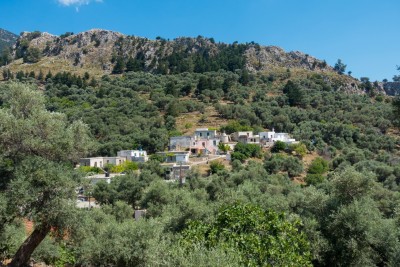 view towards the Kafenion