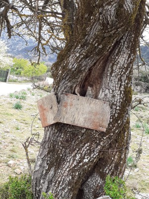 "Hinweisschild" an der Strasse