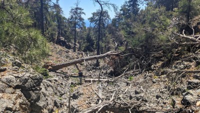 Bild 3 - Senke Richtung Aradena