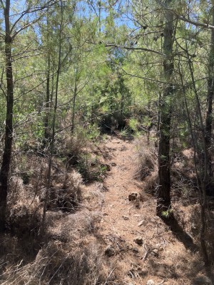 Mediathek - 3 von 5.jpeg