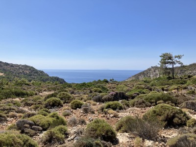 Mediathek - 5 von 5.jpeg